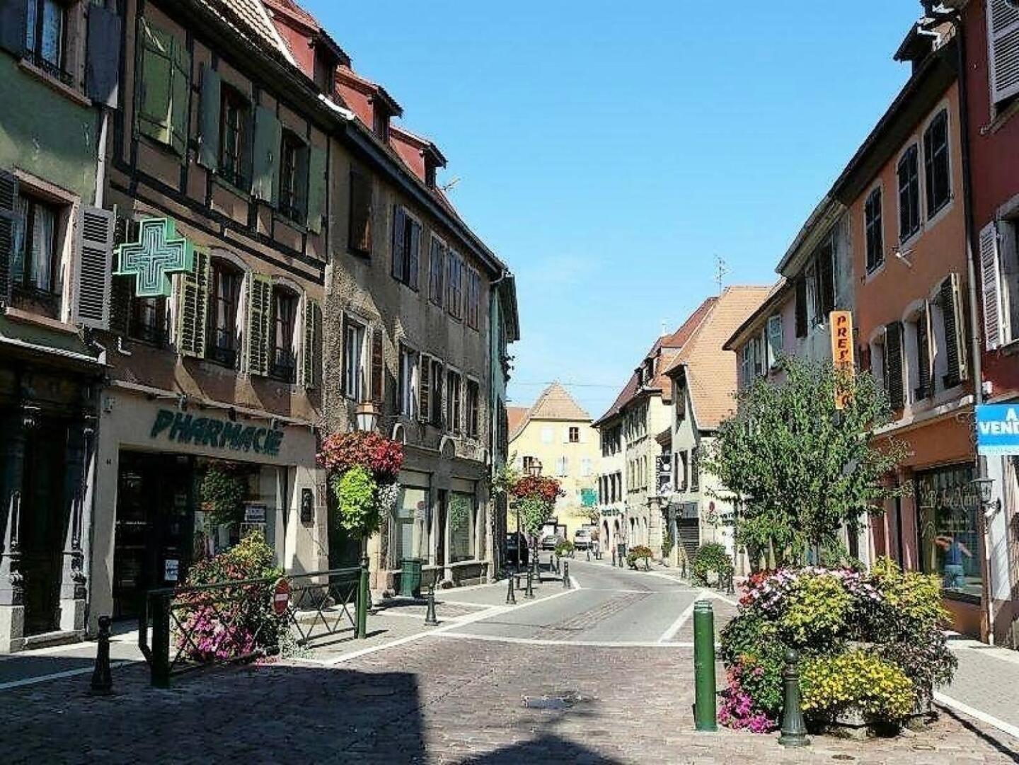 Apartment L'epicea Climatisation Sejour Parfait Soultz-Haut-Rhin